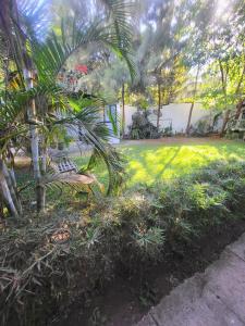 Private & quite 1 bedroom with backyard garden