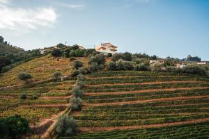 Ninho de Xisto - Natureza, Vinhas e Vistas