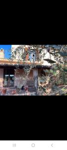 Villa Farrattini