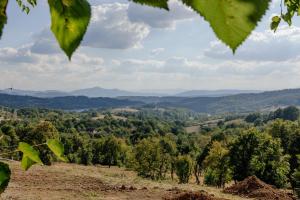 Vila Talia - Skriveni kutak u srcu Rudnika