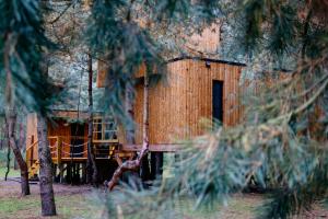 Prywatne SPA na drzewie -sauna,jacuzzi,masaż-Agroturystyka Młodnik