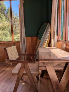 Shanay Hostel & Cafe