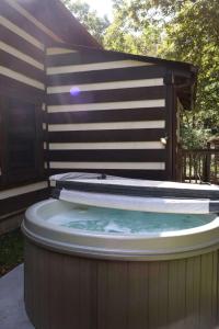 Cozy cabin villa with hot tub and fire pit