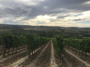 Charmant Morrona-Dolce vita Toscana