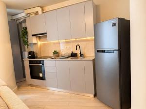 Victoriei Downtown Residence Apartment