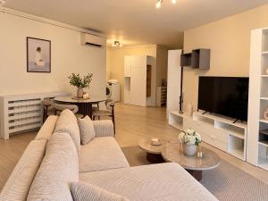 Victoriei Downtown Residence Apartment