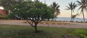 Luxestays villa E