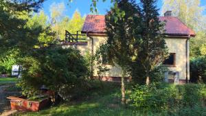 Cichoszówka