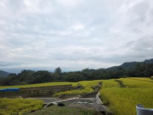 Joy Joy House 甲府