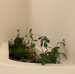 화양연화 성산