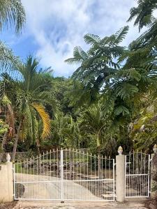West Palm Barbados