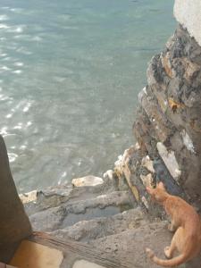 Beachfront Studio Apartment