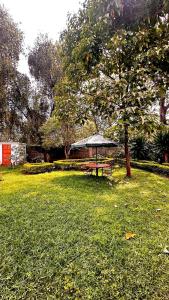 Kuzuri Homes