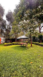 Kuzuri Homes