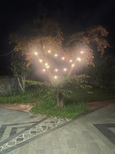 Villa Nguyên Căn Riêng Tư Có Hồ Bơi