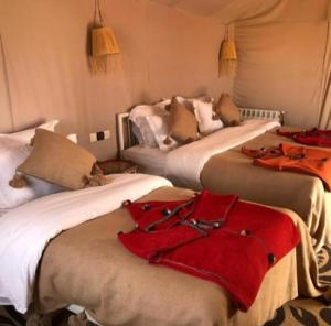 Lovers Horizons Camp