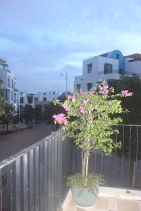 Sunrise Pearl Hotel