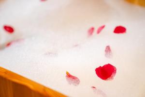 Công ty TNHH Hoa Cảnh Cao Nguyên Mộc Châu