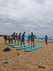 Saha surf camp