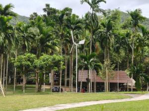 Paiwan Lamtarn Camp Phatthalung ไผ่หวานลำธารแคมป์ พัทลุง