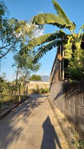 Mini Nature Villa for 2 Pax with Private Pool