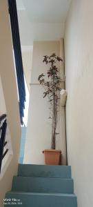 S R Residency apartment