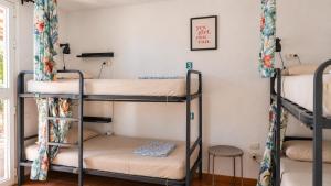 Endless Summer Hostel