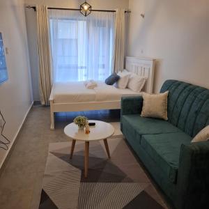 Amani Nest Superior Studio Apartment Tsavo Sentinel