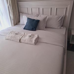 Amani Nest Superior Studio Apartment Tsavo Sentinel