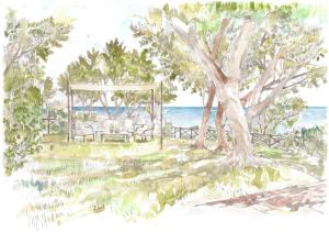 Il Pellicano