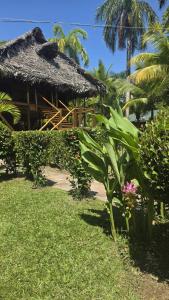 Nirvana Resort
