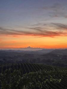 Agriturismo Tenuta ENA