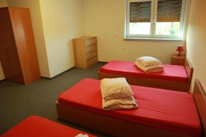 Hostel Ślimak