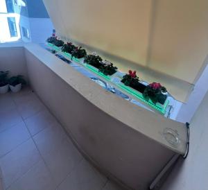 Ana Apartament