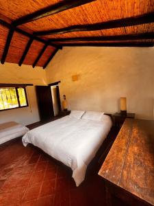 Finca pierda verde