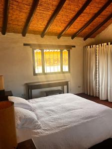 Finca pierda verde