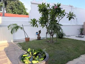 Five Bedroom Private Tropical Pool Villa in Jomtien