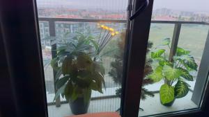 Ankara Esenboğa Airport Luxury Suite