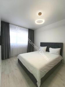 Vlad Apartament Coresi