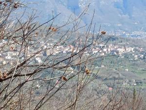S13S Trail Italy