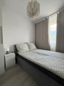 RETKINIA Apartament