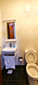 Cosy, beautiful and bright studio apartment