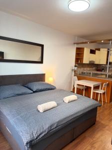 KEY Accommodation Zderadova 6
