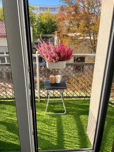 Apartament Daszyńskiego
