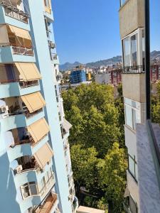 City view apartment Tirana