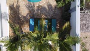 Palm Residence Vacation Apartment