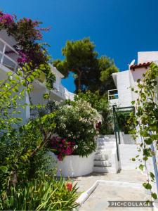 Rosys Little Village Agistri Greece