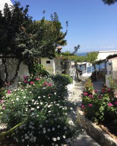 Rosys Little Village Agistri Greece