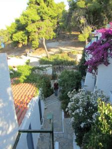 Rosys Little Village Agistri Greece