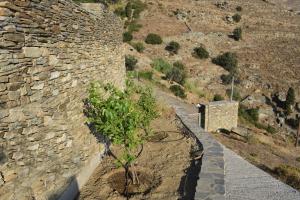 Sea View Stone Residence Andros Greece